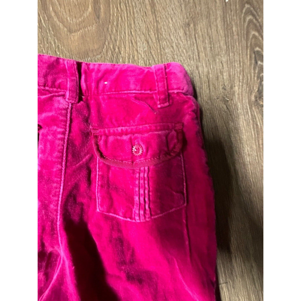 Oshkosh Kid's Velveteen Cordless Cordoroy Embroidered Pants, 20x16, tagged 4t - Picture 9 of 11